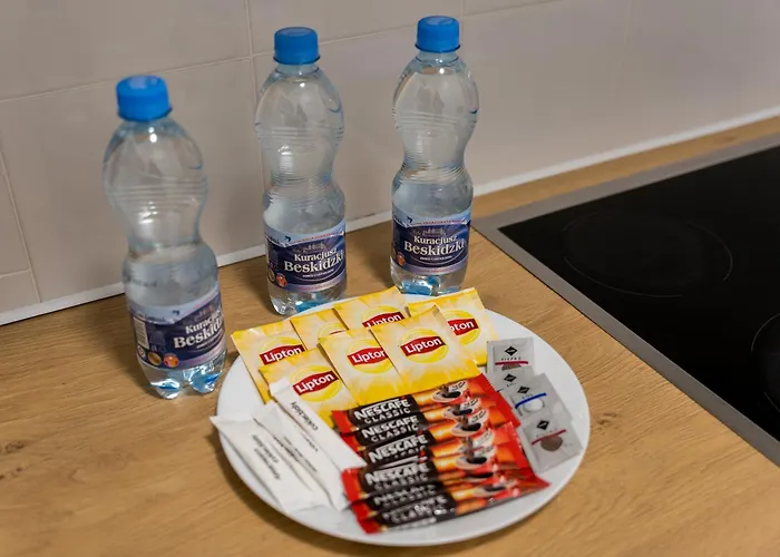 Apartment Grunwald Spacious By Bookinghost Poznan